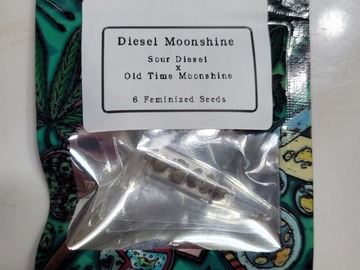 Providing ($): Diesel Moonshine - Feminized