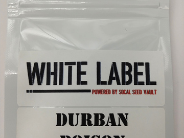 Providing ($): Durban Poison (Feminized)