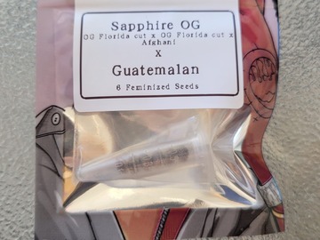 Providing ($): Sapphire OG x Guatemalan - Feminized