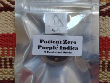 Providing ($): Patient Zero x Purple Indca