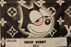 Sell: Snow Bunny S1 Copycat Genetix ORIGINAL FEMS