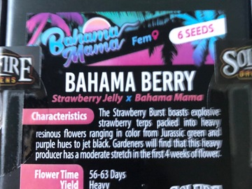 Selling: Solfire Gardens Bahama Berry