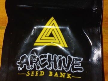 Selling: ARCHIVE GENETICS  'SWEET THANG'