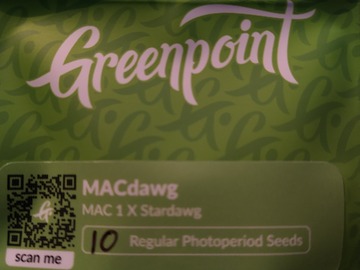 Selling: Mac Dawg by Greenpoint