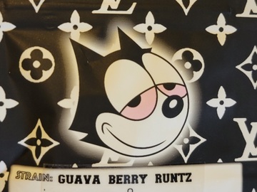 Vente: Guava Berry Runtz R1 Copycat Genetix ORIGINAL FEMS