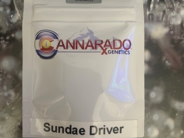 Selling: Cannarado - Sundae Driver