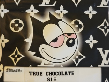 Vente: True Chocolate S1 Copycat Genetix ORIGINAL FEMS