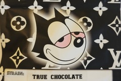 Vente: True Chocolate S1 Copycat Genetix ORIGINAL FEMS