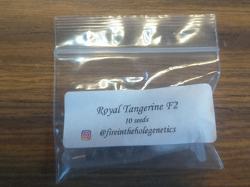 Selling: Royal Tangerine F2