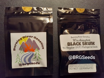Sell: Washington Black Skunk 10 Pack Regular Seeds