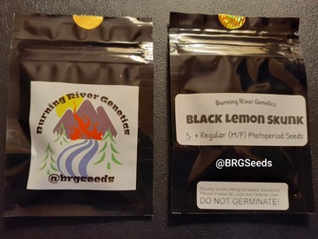 Sell: Black Lemon Skunk 5 Pack Regular Seeds