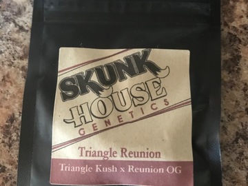 Selling: Skunk House Genetics - Triangle Reunion