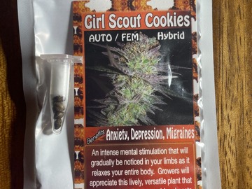 Vente: GIRL SCOUT COOKIES AUTO FEMINIZED SEEDS