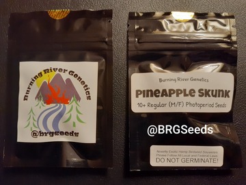 Sell: Pineapple Skunk 10 Pack Regular Seeds