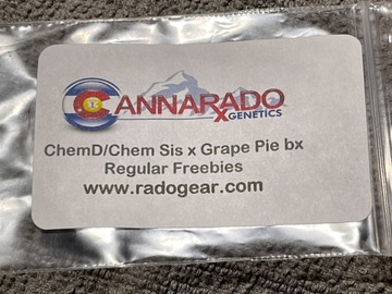 Venta: Chem D/Chem Sis x Grape Pie bx