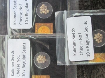 Vente: Kaliman Seeds, "Cheese Number 1". 10 x Regular Seeds