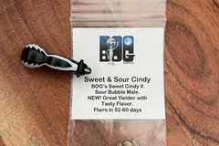 Sell: Sweet & Sour Cindy by BOG Seeds