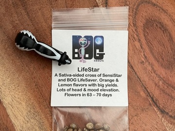 Selling: Lifestar by BOG Seeds