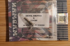 Vente: Tikimadman - Devil Driver x Zuchi