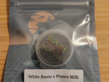 Vente: Tikimadman - White Runtz x Pirate Milk
