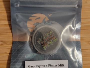 Vente: Tikimadman - Gary Payton x Pirate Milk