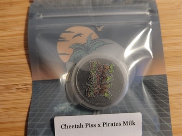 Vente: Tikimadman - Cheetah Piss x Pirate Milk