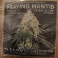 Vente: Mass Medical Strains - Praying Mantis