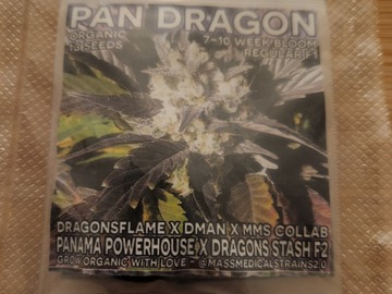 Selling: Mass Medical Strains - Pan Dragon