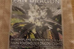 Venta: Mass Medical Strains - Pan Dragon
