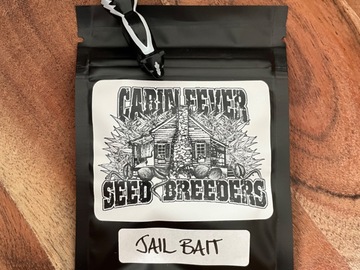 Sell: Jailbait by Cabin Fever Seed Breeders