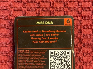 Selling: MISS DNA ( DNA GENETICS)