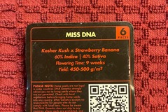 Vente: MISS DNA ( DNA GENETICS)