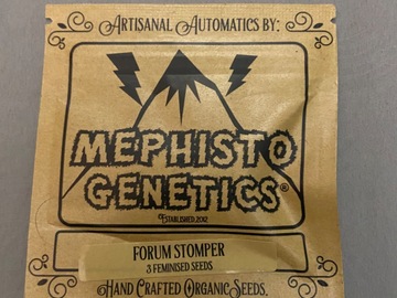 Selling: Mephisto Genetics Forum Stomper