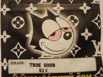 Sell: True Sour S1 Unreleased Copycat Genetix FEMS