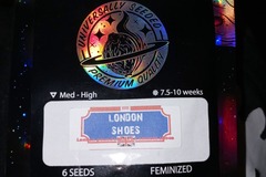 Sell: Universally Seeded London Shoes