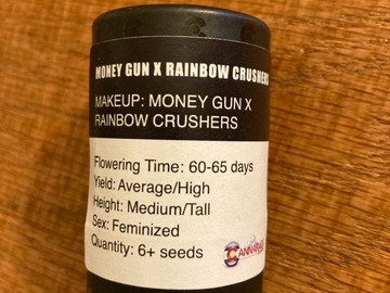 Selling: Money Gun x Rainbow Crushers from Cannarado