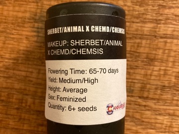 Selling: Sherbet/Animal x Chem D/Chem Sis
