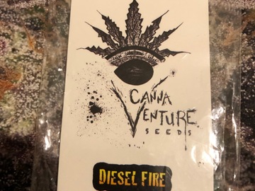 Selling: Cannaventure Seeds. Diesel Fire. Regular pack of 10.
