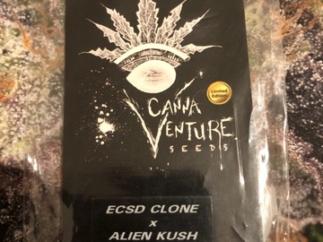 Selling: Cannaventure Seeds. ECSD Clone x Alien Kush. Regular pack of 10