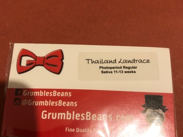 Selling: GrumbleBeans. Thailand Landrace. Regular pack of 10
