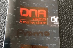 Sell: DNA GENETICS. Pure Afghan. Regular pack of 13