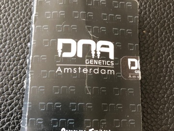 Venta: DNA GENETICS. Skunk Train. Regular pack of 30
