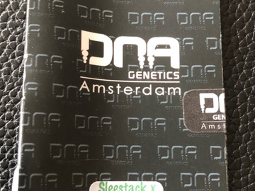 Selling: DNA GENETICS. Sleestack x Skunk. Regular pack of 13