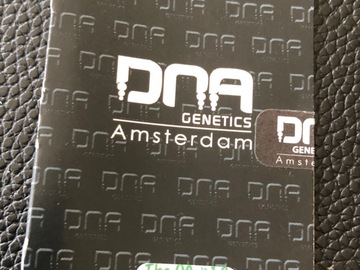 Venta: DNA GENETICS. The OG 18 x Skunk. Regular pack of 13