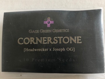 Vente: Gage Green Genetics. Cornerstone. Regular pack of 10