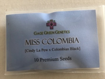Vente: Gage Green Genetics. Miss Colombia. Regular pack of 10