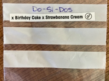 Selling: Do-Si-Dos X Birthday Cake X Strawbanana Cream from T.H.Seeds