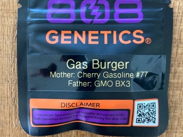 Selling: Gas Burger from 808 Genetics