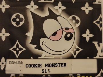 Vente: Cookie Monster S1 Copycat Genetix Clone Only