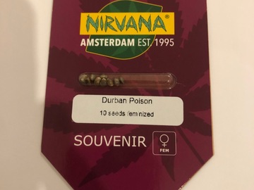 Selling: Nirvana. Durban Poison. Feminised pack of 10